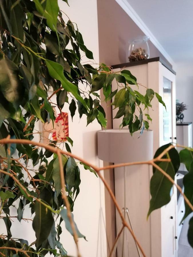 Apartman Luna Šibenik Exteriér fotografie