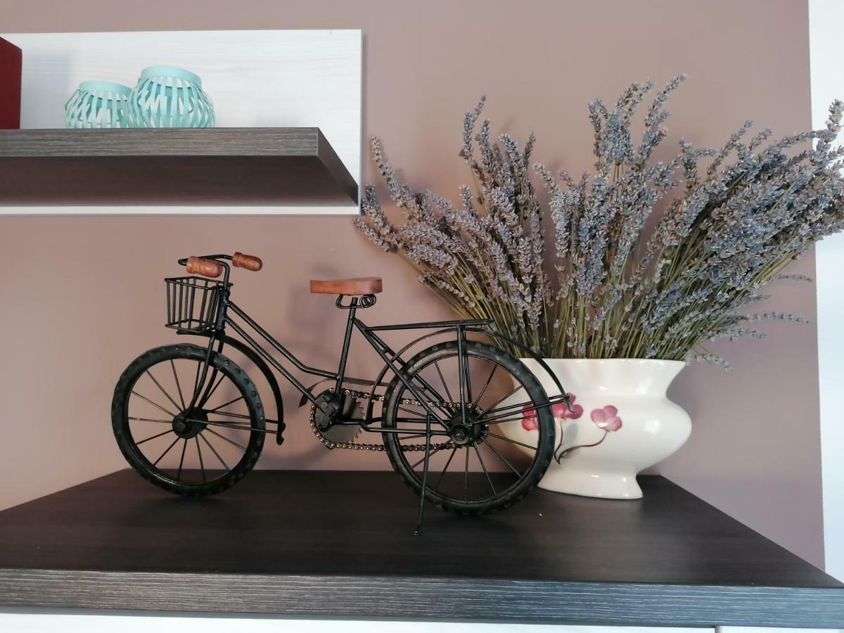 Apartman Luna Šibenik Exteriér fotografie